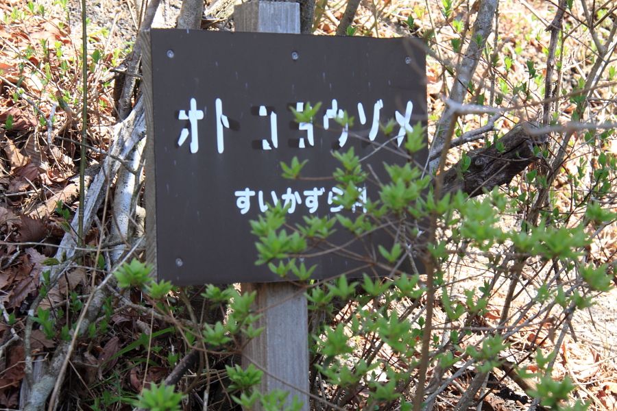 Ƃ悤